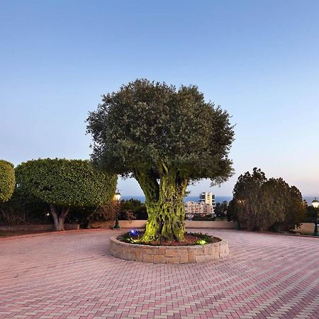 Olive Tree Apartments Lemesós Eksteriør bilde