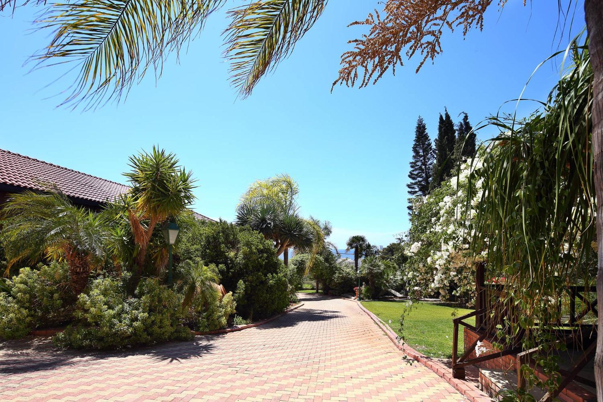 Olive Tree Apartments Lemesós Eksteriør bilde